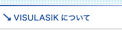 VISULASIKについて